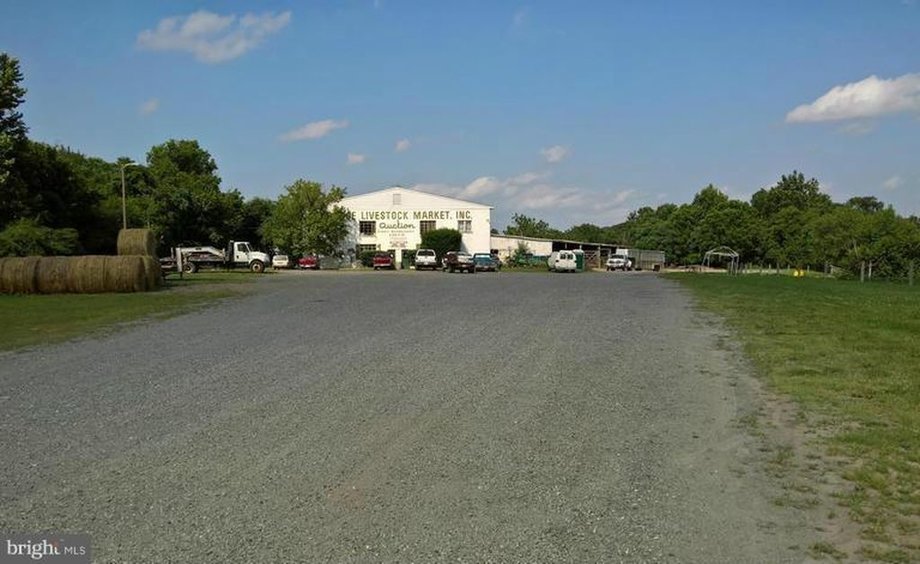 Image for 25.7 +/- Acres of Valuable Industrial Real Estate w/550' of Rt. 15 Frontage--Orange County, VA