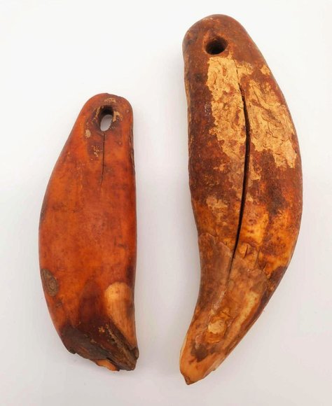 Image for Winter Discovery Online Auction