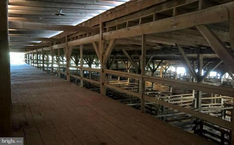 Image for 25.7 +/- Acres of Valuable Industrial Real Estate w/550' of Rt. 15 Frontage--Orange County, VA