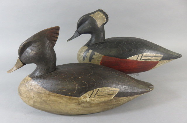 Image for Hooded Merganser Pair by Zach Jester