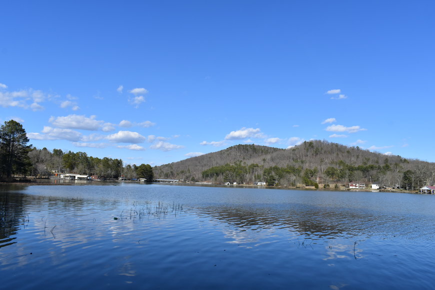 Absolute Auction Coosa River Waterfront Lot