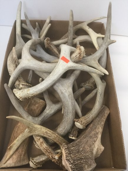 Image for `17 Ford Focus, Furniture, Collectibles, Household