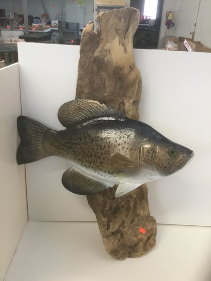 Image for `17 Ford Focus, Furniture, Collectibles, Household