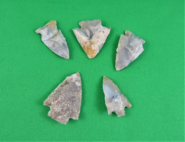 Image for Arrowhead Collector Clearance