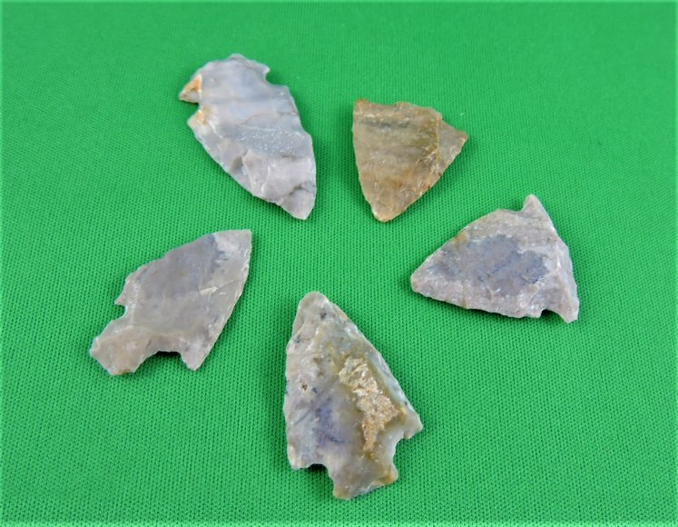 Image for Arrowhead Collector Clearance