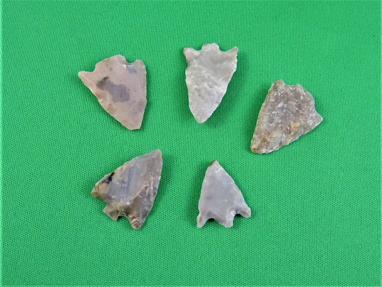 Image for Arrowhead Collector Clearance