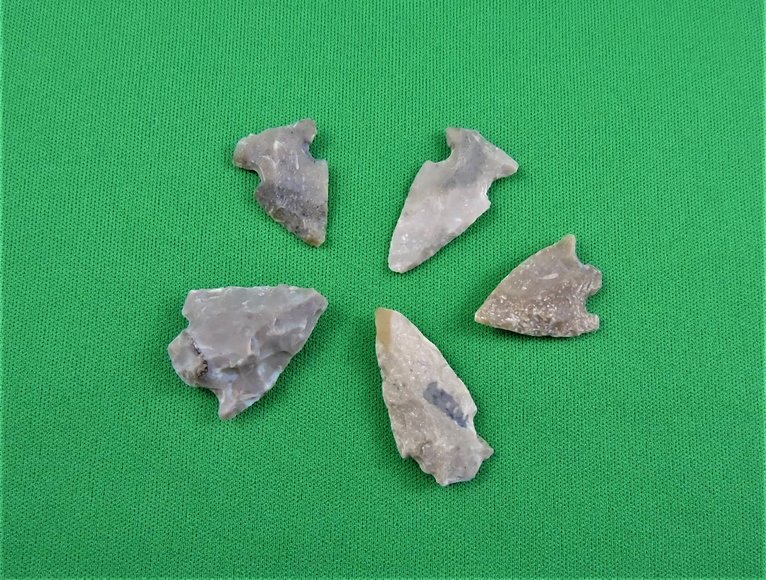 Image for Arrowhead Collector Clearance