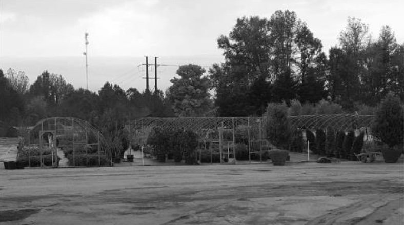 Image for Public Foreclosure Auction - All Real Estate Assets & All Equipment Owned By Watkins Nurseries Inc. & Virginia Resources Recycled, LLC - Chesterfield County, Powhatan County & Amelia County, VA