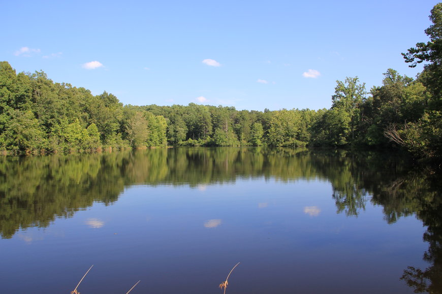 Image for 2,113 Acres in Amelia County