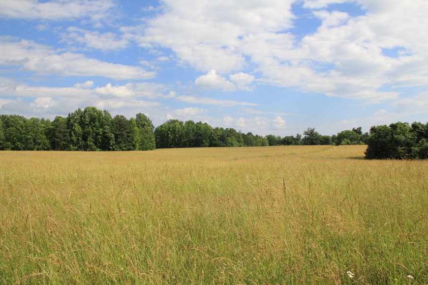 Image for 634 Acres in Nottoway