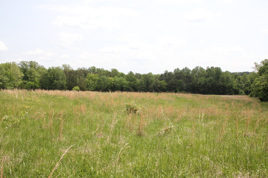 Image for 345 Acre Farm Offered in 3 Tracts