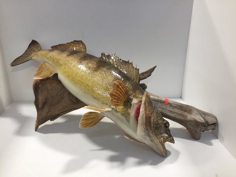 Image for Furniture, Collectibles, Household-East Building North side