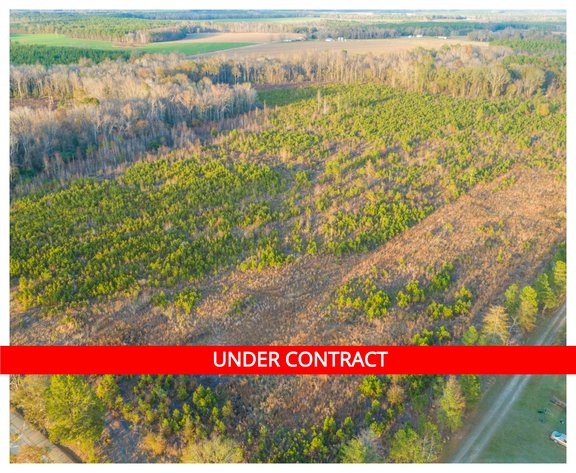 Image for 45.53 +/- Acres in Telfair County