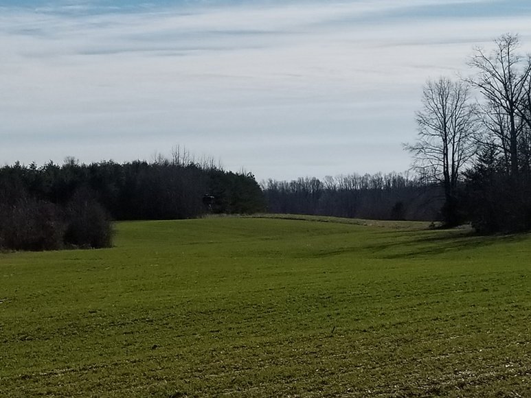 Image for Multi-Property Auction - Online Only