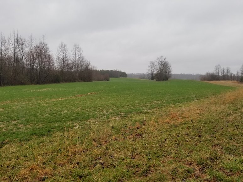 Image for Multi-Property Auction - Online Only