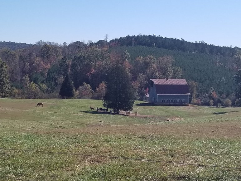 Image for Multi-Property Auction - Online Only