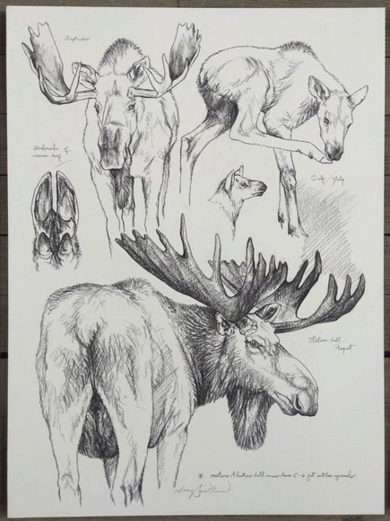 Image for Doug Lindstrand Original Sketch Collection Auction