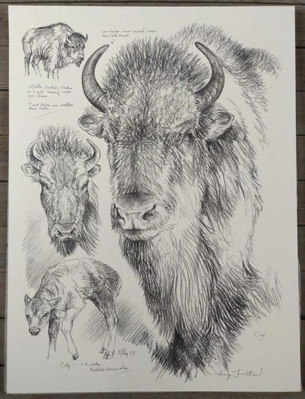 Image for Doug Lindstrand Original Sketch Collection Auction