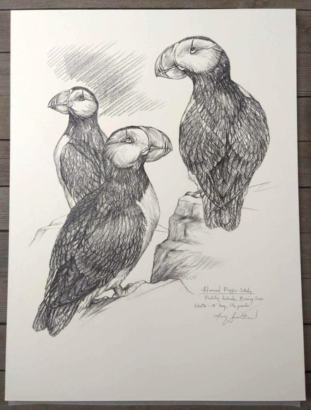 Image for Doug Lindstrand Original Sketch Collection Auction