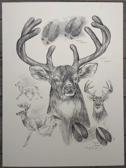 Image for Doug Lindstrand Original Sketch Collection Auction