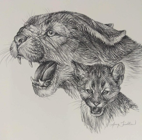 Image for Doug Lindstrand Original Sketch Collection Auction