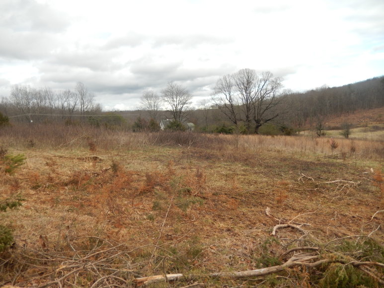 Image for Dodson Dr, Rustburg, VA 24588