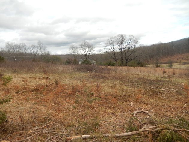 Image for Dodson Dr, Rustburg, VA 24588