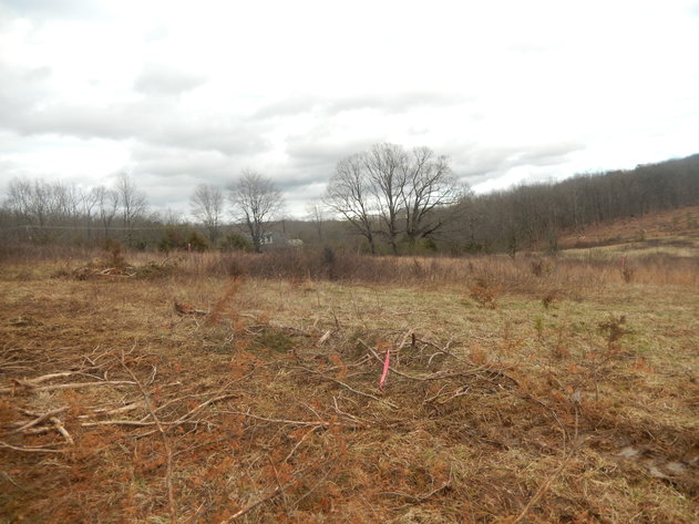 Image for Dodson Dr, Rustburg, VA 24588