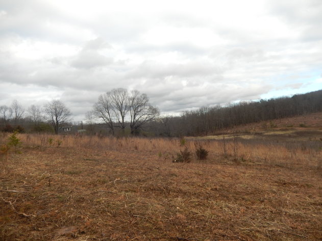 Image for Dodson Dr, Rustburg, VA 24588