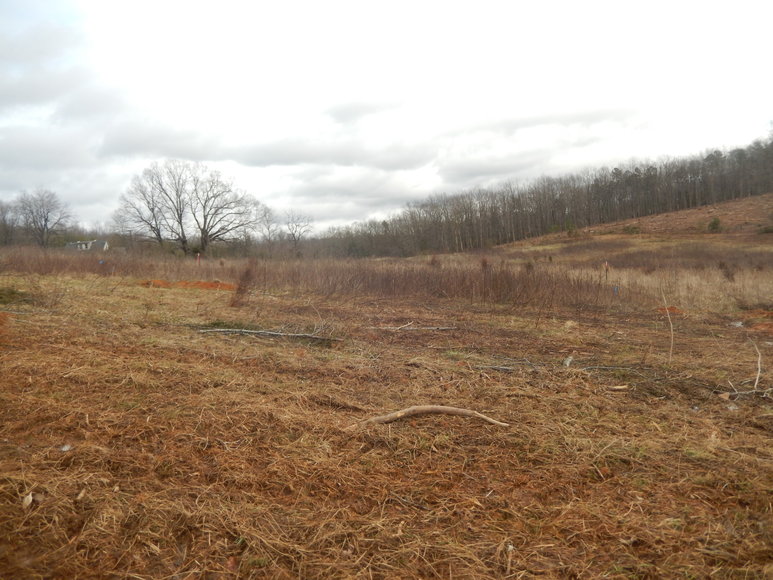 Image for Dodson Dr, Rustburg, VA 24588