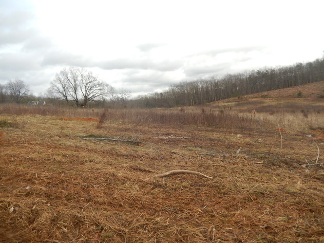 Image for Dodson Dr, Rustburg, VA 24588