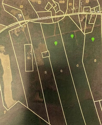 Image for Gladys Road, Gladys, Va