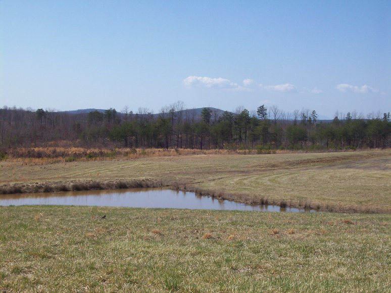 Image for 38 Acres in Appomattox