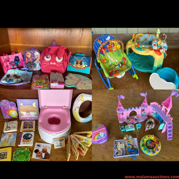 Image for Kawaihau Collaborated Personal Property Auction 03/02