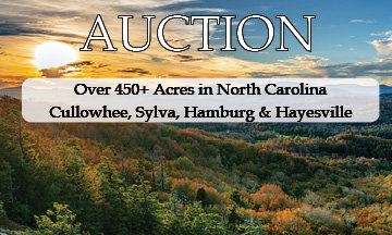 Image for LIVE AUCTION - Sylva, NC