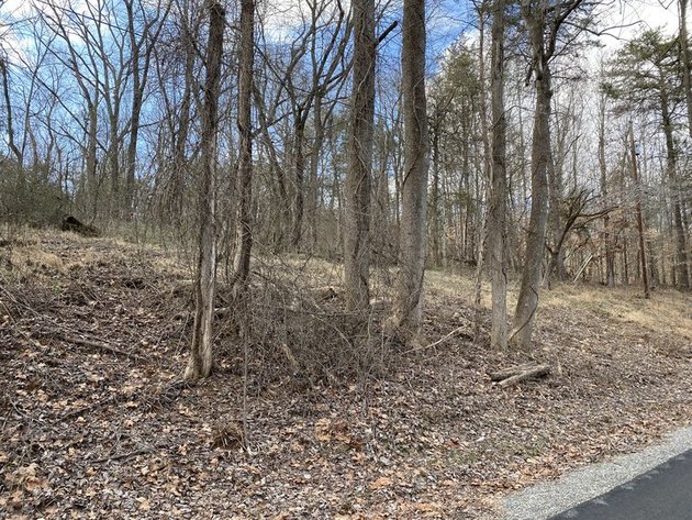 Image for 5 Adjacent Building Lots in Blue Ridge Shores Selling to the Highest Bidder!!--ONLINE ONLY BIDDING!!