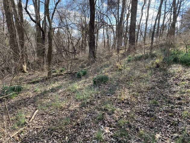 Image for 5 Adjacent Building Lots in Blue Ridge Shores Selling to the Highest Bidder!!--ONLINE ONLY BIDDING!!