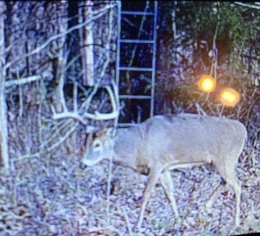 Image for 25.52+/- ACRES OFFERED IN 4 TRACTS AND COMBINATIONS