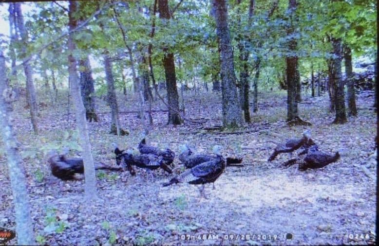 Image for 25.52+/- ACRES OFFERED IN 4 TRACTS AND COMBINATIONS