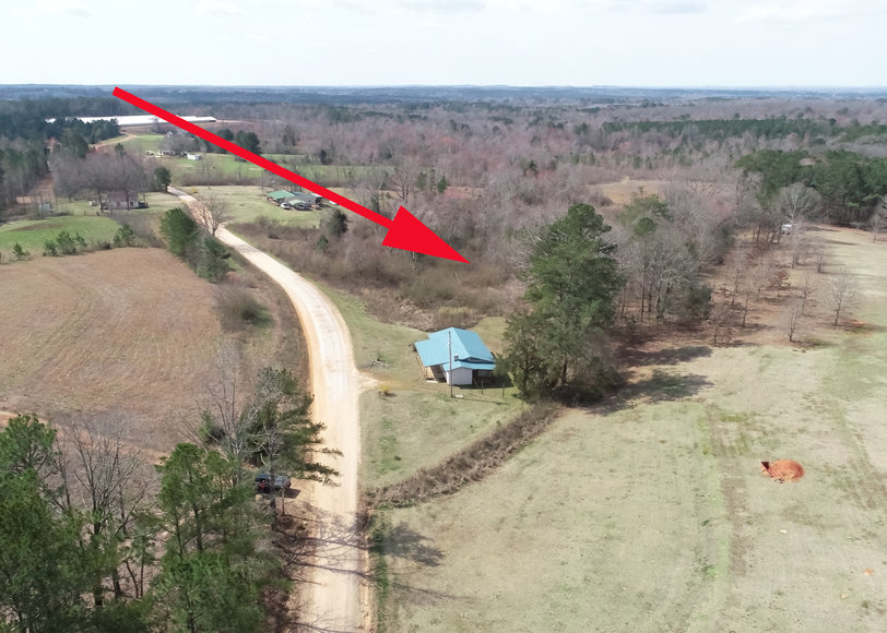 Image for Name Your Price! - Wooodland, AL