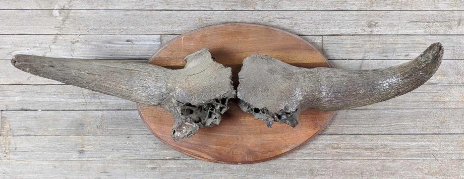 Image for March Consignment Auction