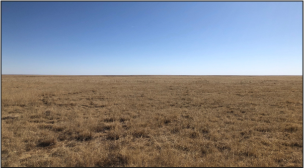 Image for KIOWA COUNTY, CO - CRP (C4052)