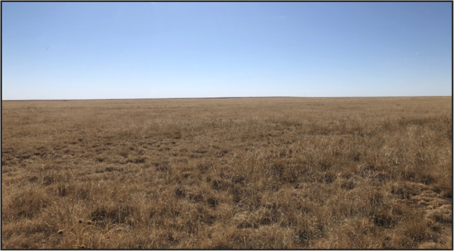 Image for KIOWA COUNTY, CO - CRP (C4052)