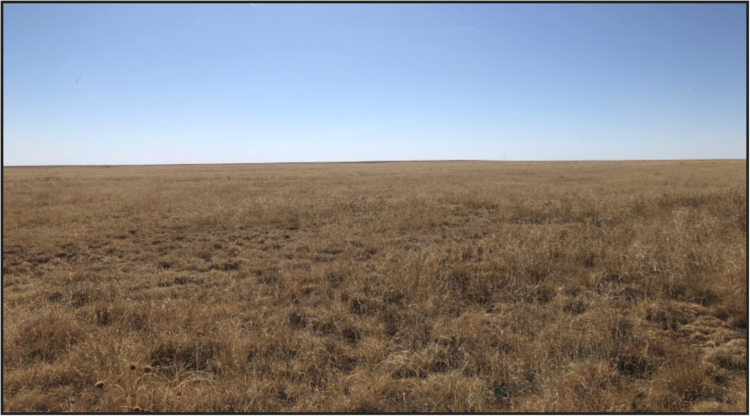 Image for KIOWA COUNTY, CO - CRP (C4052)