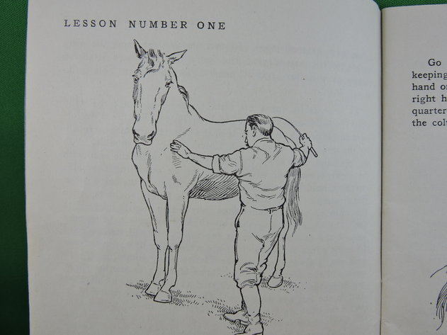 Image for Prof. Beery's Mail Courses in Horsemanship