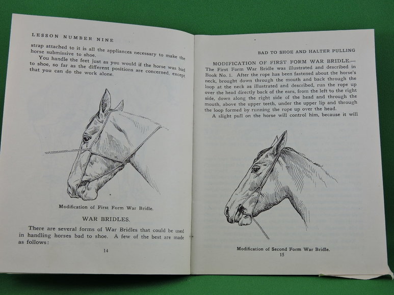 Image for Prof. Beery's Mail Courses in Horsemanship