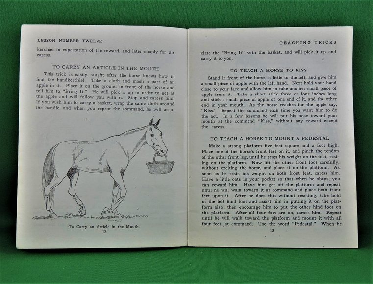 Image for Prof. Beery's Mail Courses in Horsemanship