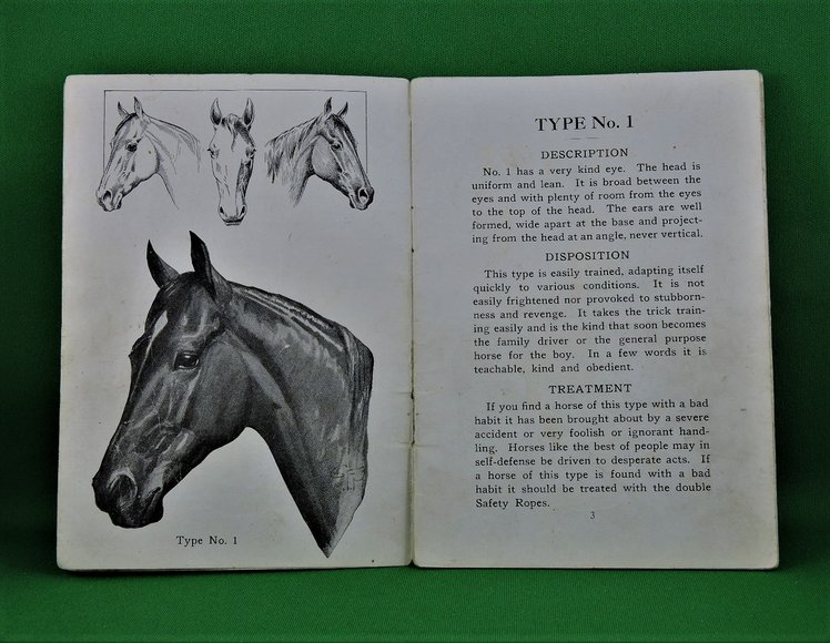 Image for Prof. Beery's Mail Courses in Horsemanship
