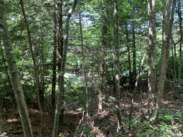 Image for Acreage, Heavy Equipment, Vehicles & more