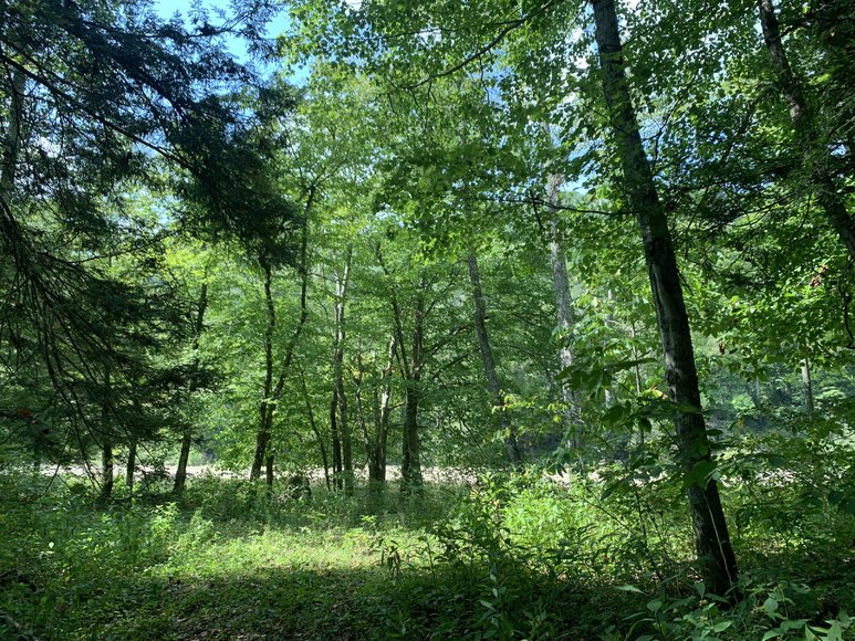 Image for Acreage, Heavy Equipment, Vehicles & more